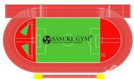 Kích thước sân điền kinh tiêu chuẩn thi đấu