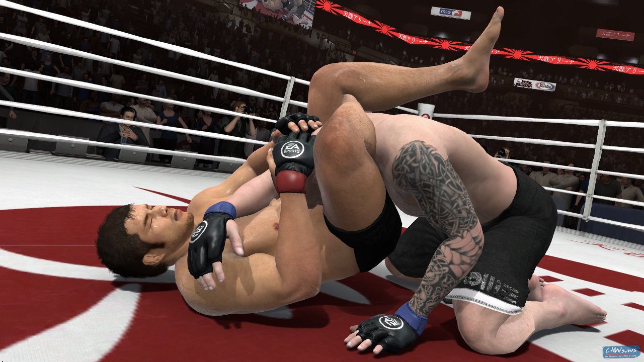 Cách tính điểm MMA