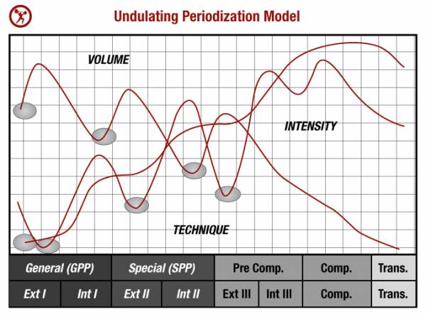 Periodization-la-gi